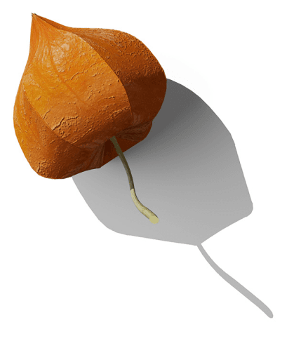 content-block-mobile